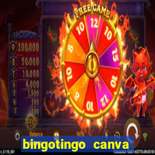 bingotingo canva pro gratis